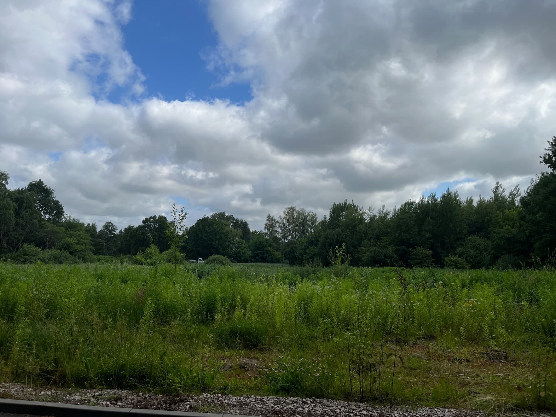 sprzedam piękną działkę 18061m2 media podział na działek